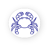 Crabe