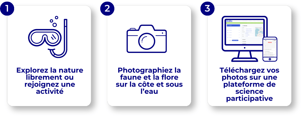 Visuel – Etape contribuer Visuel - Etape contribuer